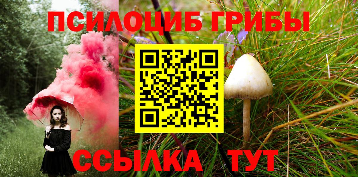 Псилоцибиновые грибы ЛСД  Вход с VPN  Аксай 